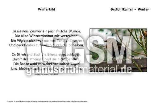 Winterbild-Lachmann.pdf